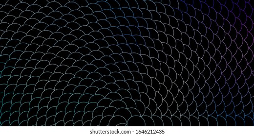 Dark Pink, Blue vector backdrop with dots. Modern abstract illustration with colorful circle shapes. Pattern for wallpapers, curtains.