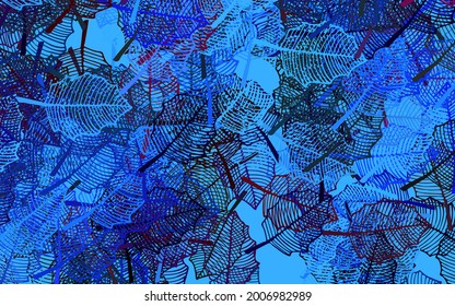 Dark Pink, Blue vector elegant pattern with leaves. Decorative illustration with doodles on abstract template. New design for your business.