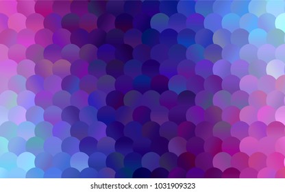 Dark Pink, Blue vector illustration which consist of circles. Dotted gradient design for your business. Creative geometric background in halftone style with colored spots.
