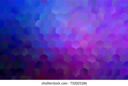 Dark Pink, Blue vector illustration which consist of circles. Dotted gradient design for your business. Creative geometric background in halftone style with colored spots.