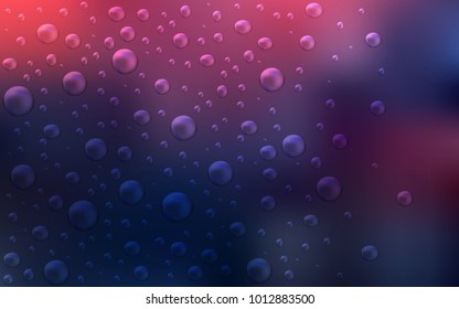 Dark Pink, Blue vector pattern with spheres. Abstract illustration with colored bubbles in nature style. Completely new template for your brand book.