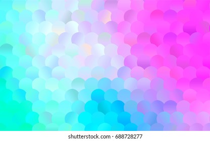 Dark Pink, Blue vector red banner with set of circles, dots. Donuts Background. Creative Design Template. Technological halftone illustration.