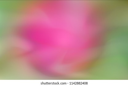 Dark Pink, Green vector blurred shine abstract cover. Shining colored illustration in a brand-new style. The best blurred design for your business.
