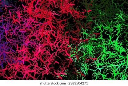 Dark Pink, Green vector elegant template with leaves, branches. Glitter abstract illustration with leaves and branches. Pattern for heads of websites, designs.