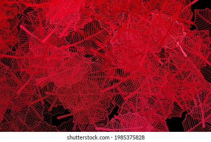 Dark Pink, Red vector doodle template with leaves. Colorful illustration in doodle style with leaves, flowers. New design for your business.