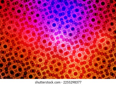 Pink oscuro, textura vectorial roja con discos. Ilustración con un conjunto de círculos abstractos de colores brillantes. Patrón para sitios web hermosos.