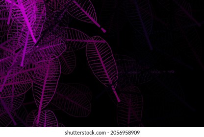 Dark Pink vector doodle background with leaves. Blurred decorative design in Indian style with leaves. Template for backgrounds of cell phones.