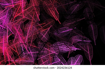Dark Pink vector elegant background with leaves. Doodle illustration of leaves in Origami style with gradient. Textured pattern for websites, banners.