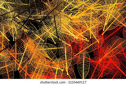 Pink oscuro, patrón abstracto vector amarillo con flores, hojas. Nueva ilustración de color con hojas y flores. Diseño pintado a mano para la web, folletos.