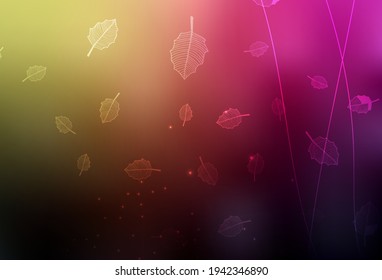 Dark Pink, Yellow vector doodle template with trees, branches. Illustration with colorful abstract doodle flowers. Brand new design for your business.