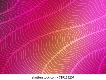 Dark Pink, Yellow vector doodle blurred background. Sketchy hand drawn doodles on blurred background. The textured pattern can be used for website.