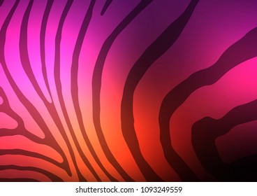 Dark Pink, Yellow vector indian curved pattern. Decorative shining illustration with doodles on abstract template. A new texture for your design.