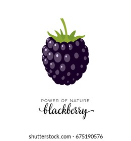 blackberry icon png