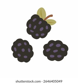 Dark purple blackberry cluster in hand-drawn style with leafy detail, perfect for berry-themed art, organic food visuals, and fruity pattern designs.