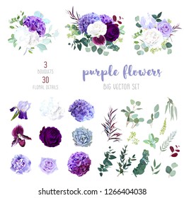 Dark purple garden rose, plum orchid, white and violet rose, lilac hydrangea, iris, carnation, seeded eucalyptus, greenery, succulents big vector collection. All elements are isolated and editable.