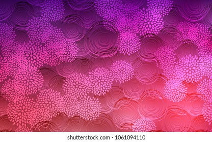 Dark Purple, Pink vector doodle bright template. Colorful abstract illustration with flowers in doodle style. The template can be used as a background for cell phones.