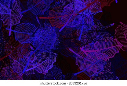 Dark Purple, Pink vector doodle background with leaves. Colorful abstract illustration with leaves in doodle style. A new texture for your wallpaper design.