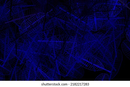 Dark Purple, Pink vector doodle layout with leaves. Sketchy doodles with leaves on blurred background. Brand new style for your business design.