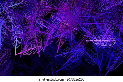 Dark Purple, Pink vector elegant template with leaves. Doodle illustration of leaves in Origami style with gradient. A new texture for your wallpaper design.