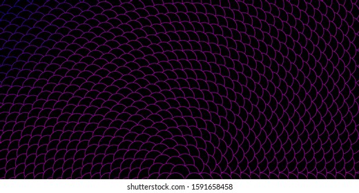 Dark Purple, Pink vector layout with circle shapes. Colorful illustration with gradient dots in nature style. Pattern for websites.