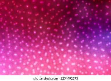 Dark Purple, Pink vector pattern with spheres. Glitter abstract illustration with blurred drops of rain. Design for poster, banner of websites.