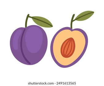Ciruelas moradas oscuras. Par de ciruela entera y partida por la mitad, con semilla y hojas verdes. Ilustración vectorial aislada sobre fondo blanco