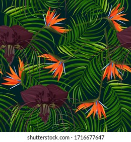 Dark purple Tacca flower and strelizia background. Tropical exotic plant seamless pattern.