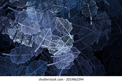 Dark Purple vector doodle backdrop with leaves. Brand new colored illustration with leaves and flowers. Template for backgrounds of cell phones.