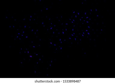Dark Purple vector doodle pattern. Sketchy doodles with colorful gradient leaves. New template for your brand book.