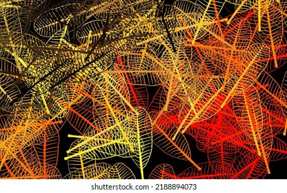 Dark Purple vector doodle pattern with flowers, leaves. Illustration with doodles on abstract template. Textured pattern for websites, banners.