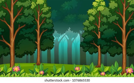 Dark Rainforest with Big Trees Landscape illustration