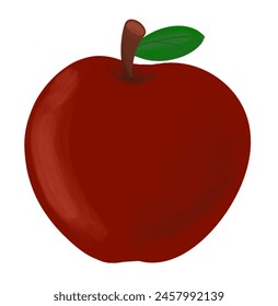 dark red apple isolated vector