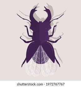 Dark red Bug with wings isolated on light background. Vector illustration. Single, beetle, antennae, insect, fauna, nature, flying, little, arthropod, wild life, decorative, biology, zoo.