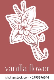 dark red illustration with vanilla flower in cartoon style