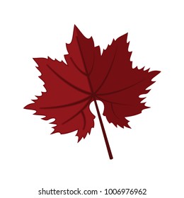 Dark Red Maple Leaf Vector Illustration Graphic Design