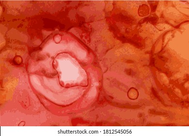 Dark red and orange stone marble texture. Alcohol ink technique abstract vector background. Modern luxury paint in natural colors. Template for banner, poster design. Fluid art painting