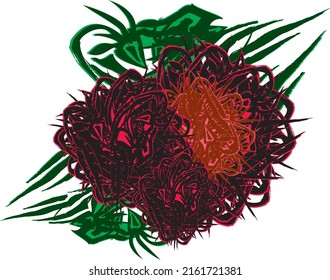 Dark red roses on a white background for holidays or prints. Blossoming roses for Valentine's Day, fabrics, fashion trends, wallpaper, textiles, tattoos, emblems on shields, invitation cards, etc. 