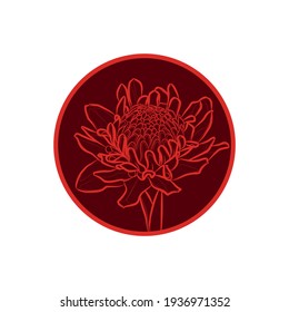 Dark red silhouette of ginger flower (Etlingera elatior) in dark red circle. Vector illustration.