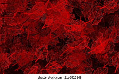 Dark Red vector abstract design with leaves. Sketchy doodles with leaves on blurred background. A new texture for your wallpaper design.