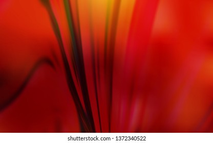 Dark Red vector colorful abstract texture. An elegant bright illustration with gradient. Blurred design for your web site.