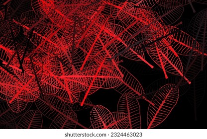 Dark Red vector elegant background with leaves. Sketchy doodles with leaves on blurred background. New template for your design.