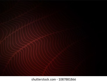 Dark Red vector indian curved template. Shining colored illustration with doodles in Arabic style. A completely new design for your business.