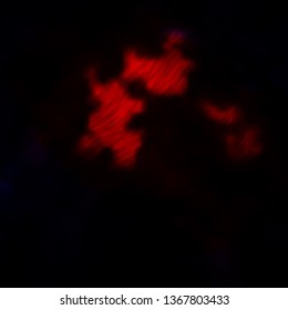 Dark Red vector pattern with curves. Abstract illustration with gradient bows. Design for your business promotion.