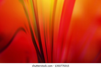 Dark Red, Yellow vector blurred bright texture. Glitter abstract illustration with gradient design. New style design for your brand book.