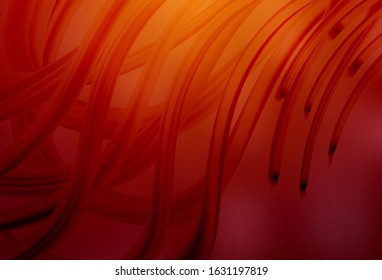Dark Red, Yellow vector blurred shine abstract template. Colorful abstract illustration with gradient. Completely new design for your business.