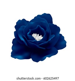 Dark rose on white background. 3D vector illustration.