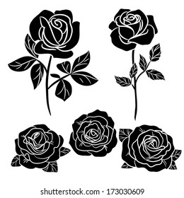 dark  roses on white