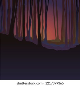 
dark scary forest