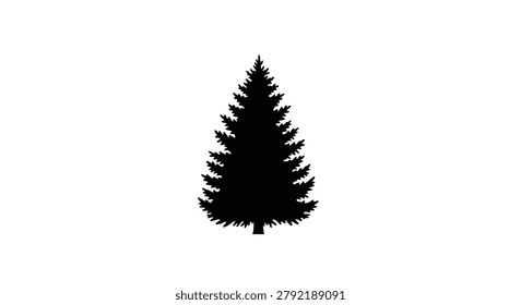 Dark shape of a pine tree