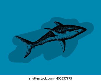 Dark shark on blue background. Free hand drawn. Vector illustration. 